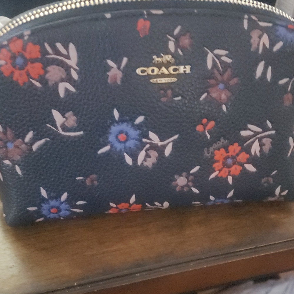 Coach Blue Cismetic Case